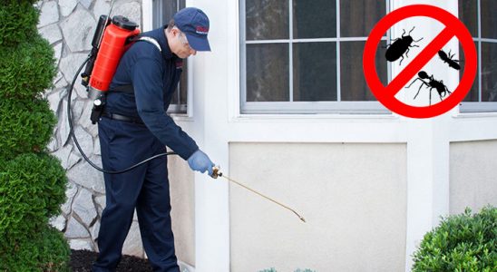 Ulus Böcek İlaçlama böcek ilaçlama ve haşere kontrolü — ilaclama-tr.com